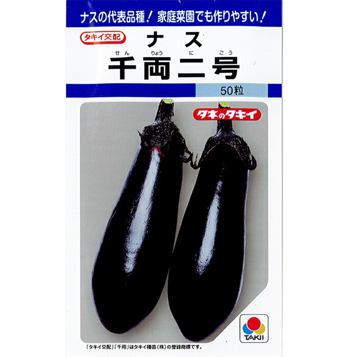 【今だけお買い得❗️】なす苗　千両2号　◎プラグ苗(100苗)◎ imgrc0086585012.jpg