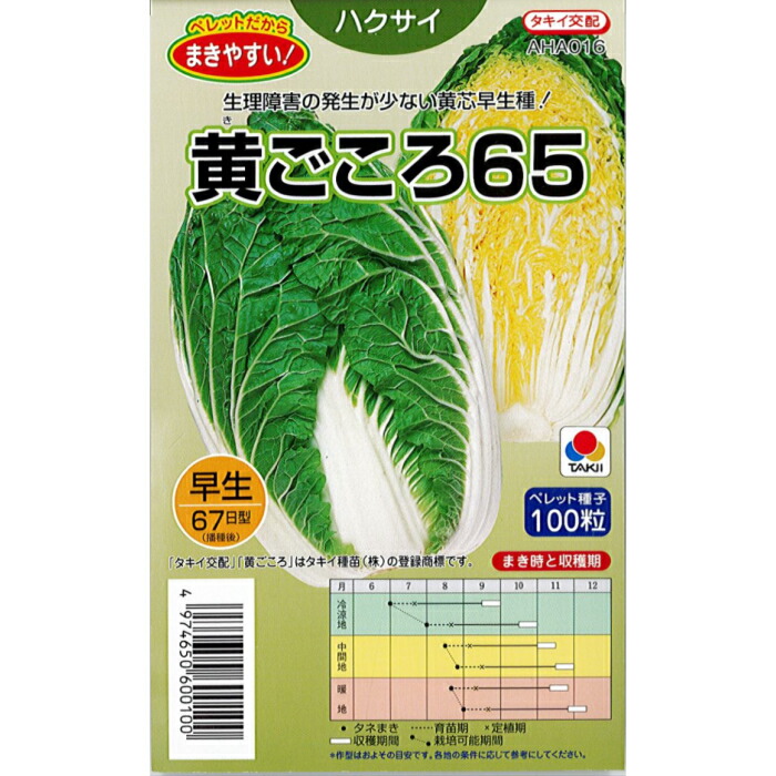 楽天市場】タキイ 種苗 ハクサイ 種子 「 オレンジクイン 」 小袋 ペレット100粒 規格 種 野菜の種 白菜 種 はくさい 野菜種子 75 良食味  黄芯 コート ペレット 機能性 中早生 : 種の家 楽天市場店