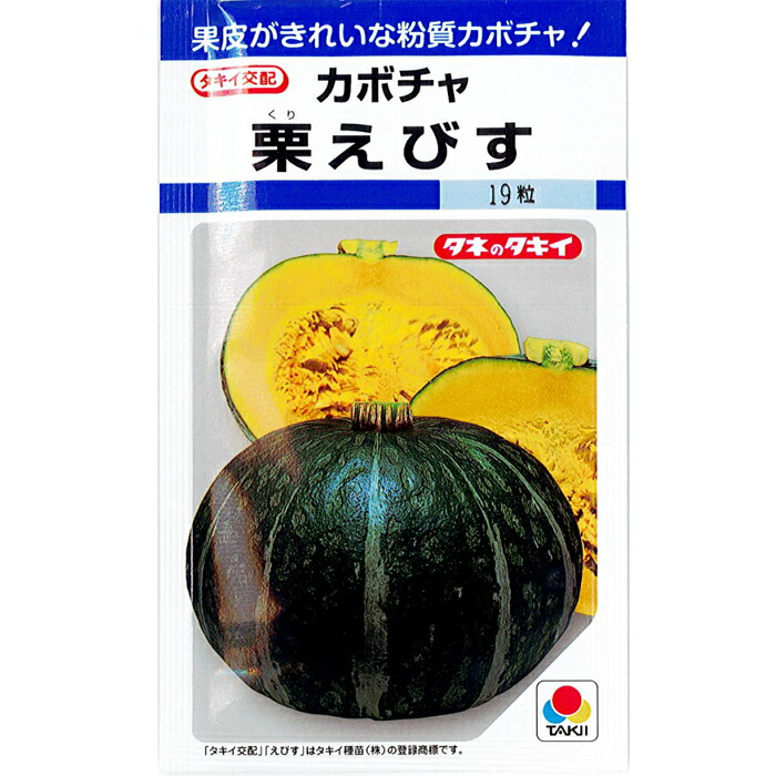 楽天市場】タキイ種苗 カボチャ 種子 「バターナッツ」 小袋（16粒）規格 種 野菜種 南瓜 ポタージュスープ ヒョウタン型 多収 800g 黄褐色  : 種の家 楽天市場店