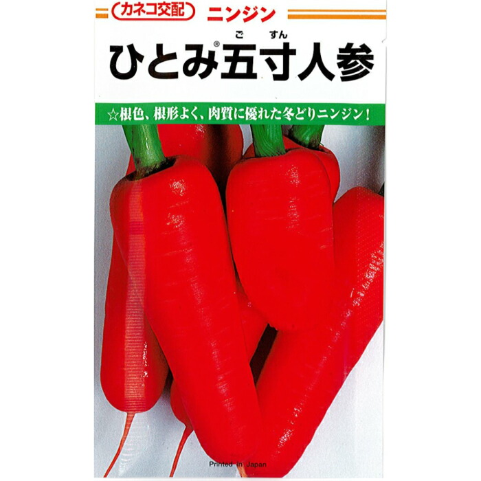 楽天市場】ナント種苗 タマネギ 種子 「 ノンクーラー 」 小袋 5ml 規格 種 野菜の種 野菜種 野菜種子 秋播き 長期貯蔵 玉葱 玉ねぎ  3月まで 中晩生 : 種の家 楽天市場店