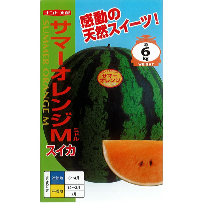 楽天市場】ナント種苗 スイカ種子 「 ベランダdeスイカ マリン