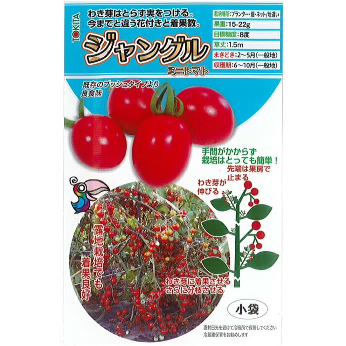 楽天市場 トキタ種苗 トマト 種子 ジャングルミニトマト 小袋 8粒規格 種 野菜の種 野菜種 ミニトマト トキタ プランター栽培 ハンギング ベランダ栽培 放任栽培 種の家 楽天市場店