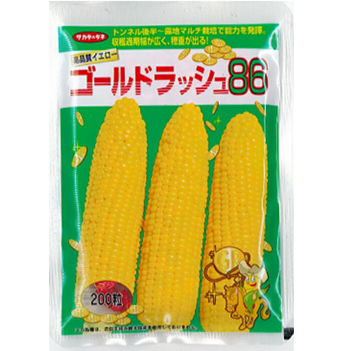 激安通販販売 トウモロコシの種 夏まき味甘ちゃん 200粒