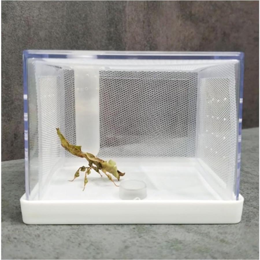 カマキリ専用繁殖箱 アクリル樹脂カマキリかご カマキリ専用の旗幟サイバー空間と加湿熱電子管付き添い人 保湿力と通気性の良さ(他の虫けらには適しませ