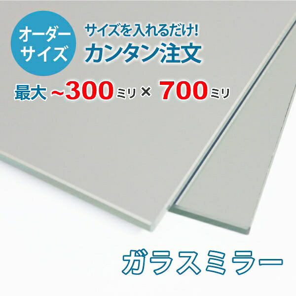 【購入注文大きさ】硝子鏡鑑：300粍×700粍以内の鏡の大きさ購入注文仕立て上げる【楽になること引きうける付き添い人】／部屋の入り口姿見・洗面所・室内用便器・バス発着場姿見・パーソナルジム・ダンススタジオ