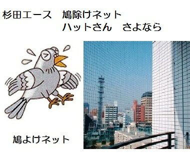 かぶり笠さん さよなら 防鳥サイバー空間【鳩よけ】