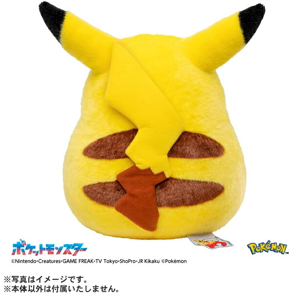 タカラトミー ポケットモンスター ポケモン30周年記念 おかえり