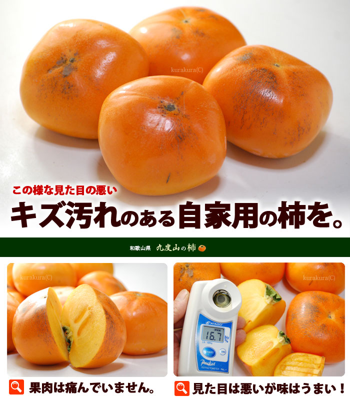 店-採れたて• 種なし柿 3Lサイズ 28•個詰 7.5kg箱 ：和歌山県湯浅町