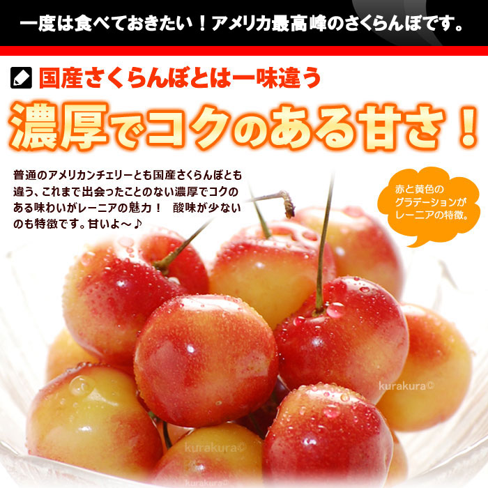 アメリカンチェリーの最高峰 御中元 希少種 レーニア アメリカの佐藤錦と言われる大玉で甘味の強いさくらんぼ 送料無料食品 送料無料 レイニアチェリー 平均糖度は度 お中元 レイニアチェリー サクランボ アメリカンチェリー レイニア サクランボ フルーツ レーニア