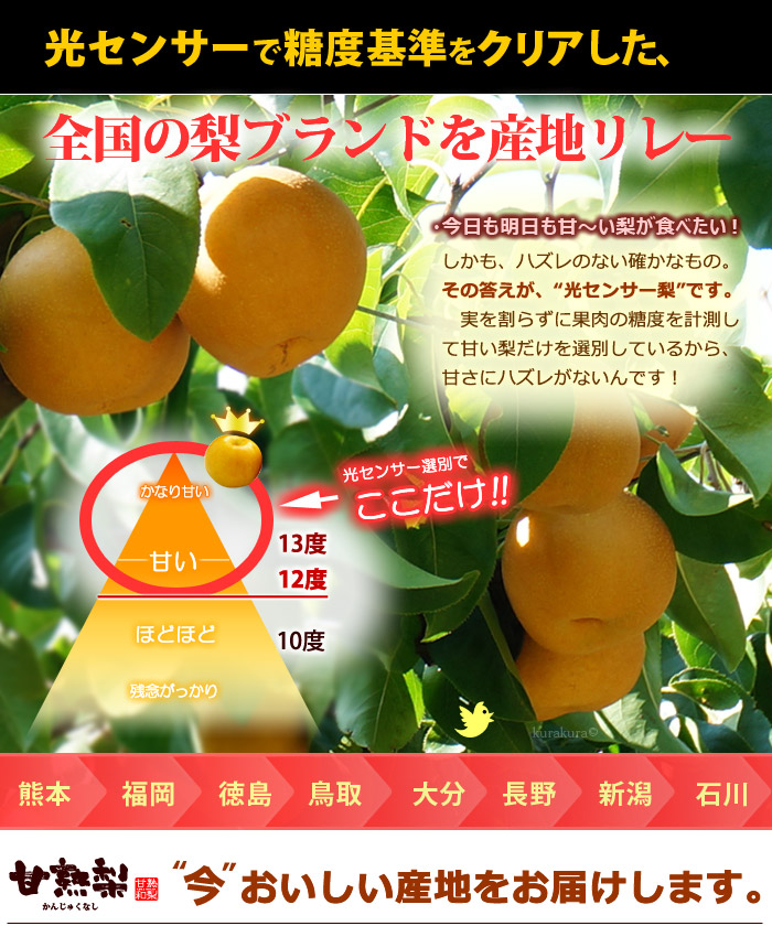 楽天市場 甘熟幸水梨3l 5l 5kg 産地はお任せ 糖度12度以上の大玉幸水梨だけをお届け 食品 フルーツ 果物 和梨 幸水 送料無料 まいど おおきに屋クラクラ