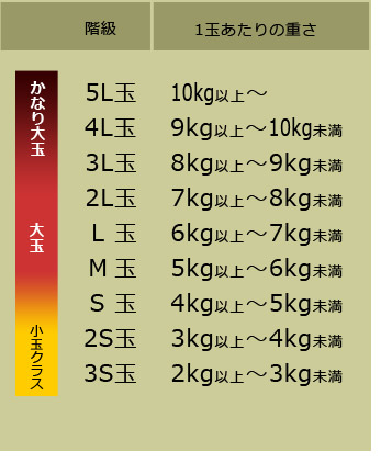 楽天市場 夢大地 鹿本のスイカ 4l 1玉 熊本産 秀品 贈答 ギフト すいか 西瓜 糖度11度以上選果 光センサーによる空洞検査済み 食品 フルーツ 果物 スイカ 送料無料 まいど おおきに屋クラクラ