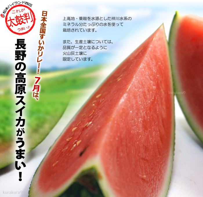 楽天市場 松本ハイランドすいか 秀品 3l 1玉 長野産 高原スイカ 西瓜 お中元 夏ギフト 食品 フルーツ 果物 スイカ 送料無料 まいど おおきに屋クラクラ