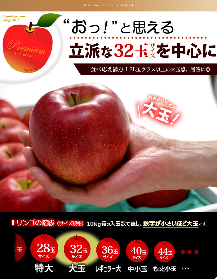 通信販売 シナノスイート 約10kg 長野産 特秀 贈答用 ギフト 大玉 りんご リンゴ 林檎 食品 フルーツ 果物 送料無料 fucoa.cl