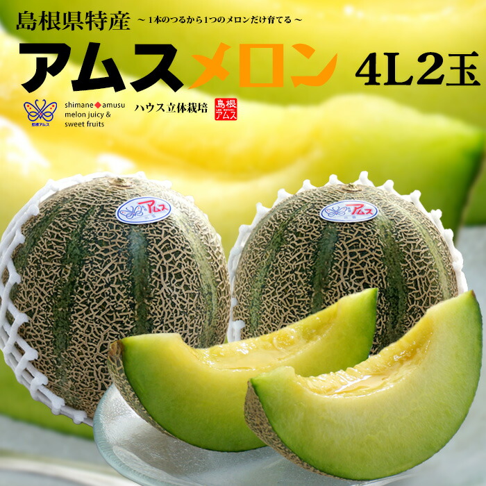 アムスメロン 4L×2玉 (約2.5kg) 島根産 赤秀 青肉 アムス メロン 益田 石見銀山 めろん melon 父の日 ギフト 贈答 高糖度 甘い ハウス立体栽培 お中元 御中元 御供え お供え 甘い 人気 男性 女性 喜ばれる 2025 送料無料