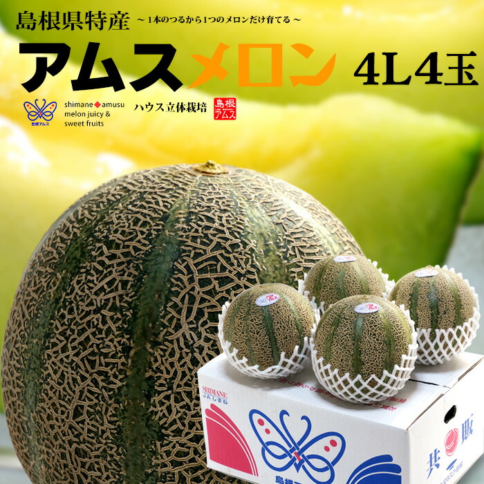 アムスメロン 4L×4玉 (約5kg) 島根産 赤秀 青肉 アムス メロン 益田 石見銀山 めろん melon 父の日 ギフト 贈答 高糖度 甘い ハウス立体栽培 お中元 御中元 御供え お供え 甘い 人気 男性 女性 喜ばれる 2025 送料無料