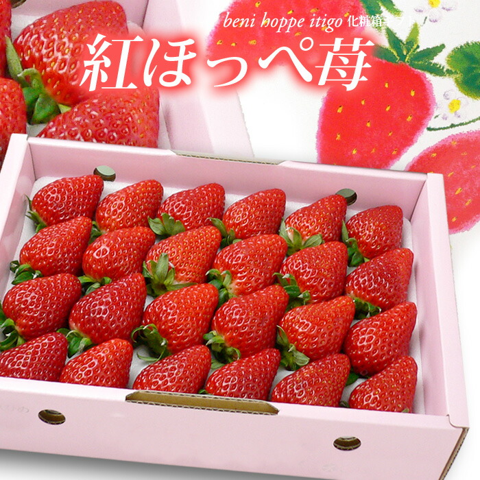 あまおう Oxygen Sensor for Mitsubishi Asx Lancer 1588A233 1588A192