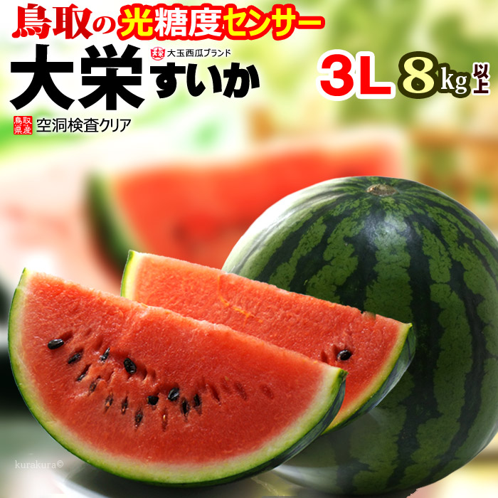 鳥取 大栄すいか 秀品 (3L×1玉) 鳥取産 スイカ 大栄スイカ すいか だいえい ダイエイ 特大 大玉 ジャンボ suica 西瓜 光糖度センサー 空洞検査 watermelon 食品 フルーツ 果物 スイカ 贈答 ギフト 甘い 人気 男性 女性 喜ばれる 2025 御中元 お中元 お供え 御供え 送料無料