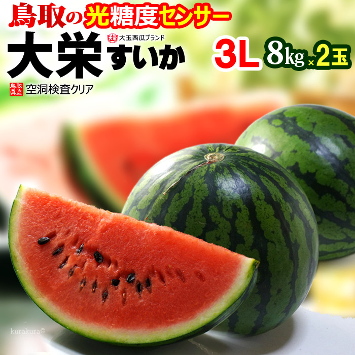 鳥取 大栄すいか 秀品 (3L×2玉) 鳥取産 スイカ 大栄スイカ すいか だいえい ダイエイ 特大 大玉 ジャンボ suica 西瓜 光糖度センサー 空洞検査 watermelon 食品 フルーツ 果物 スイカ 贈答 ギフト 甘い 人気 男性 女性 喜ばれる 2025 御中元 お中元 お供え 御供え 送料無料