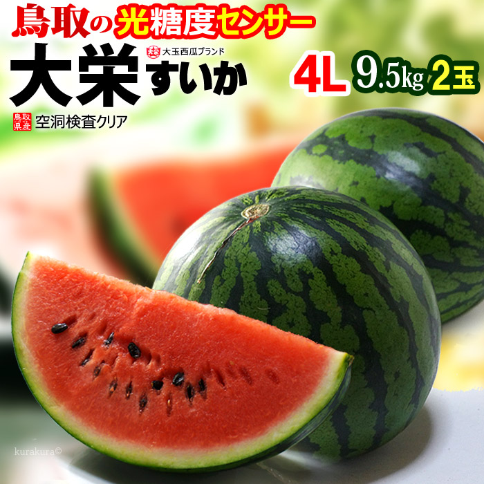 鳥取 大栄すいか 秀品 (4L×2玉) 鳥取産 スイカ 大栄スイカ すいか だいえい ダイエイ 特大 大玉 ジャンボ suica 西瓜 光糖度センサー 空洞検査 watermelon 食品 フルーツ 果物 スイカ 贈答 ギフト 甘い 人気 男性 女性 喜ばれる 2025 御中元 お中元 お供え 御供え 送料無料