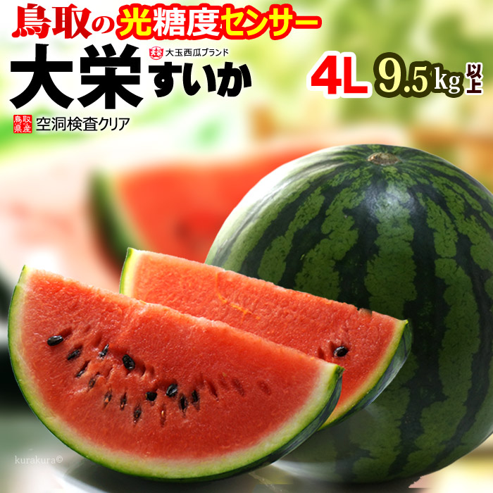 鳥取 大栄すいか 秀品 (4L×1玉) 鳥取産 スイカ 大栄スイカ すいか だいえい ダイエイ 特大 大玉 ジャンボ suica 西瓜 光糖度センサー 空洞検査 watermelon 食品 フルーツ 果物 スイカ 贈答 ギフト 甘い 人気 男性 女性 喜ばれる 2025 御中元 お中元 お供え 御供え 送料無料