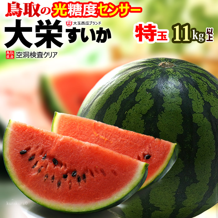 鳥取 大栄すいか 秀品 (特×1玉) 鳥取産 スイカ 大栄スイカ すいか だいえい ダイエイ 特大 大玉 ジャンボ suica 西瓜 光糖度センサー 空洞検査 watermelon 食品 フルーツ 果物 スイカ 贈答 ギフト 甘い 人気 男性 女性 喜ばれる 2025 御中元 お中元 お供え 御供え 送料無料