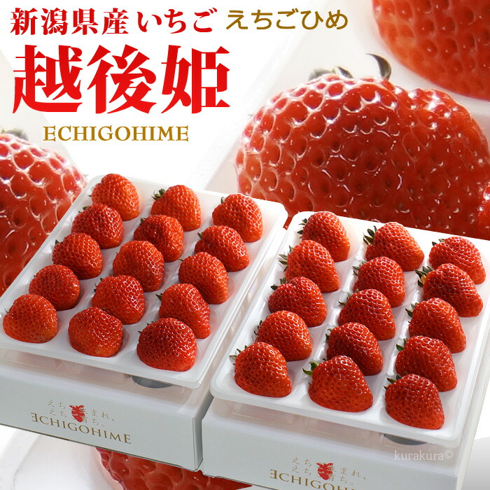 越後姫 いちご (約450g×2P) 新潟産 イチゴ 苺 ギフト 贈答用 高糖度 甘い 大粒 大玉 高級いちご 食品 フルーツ 果物 いちご 越後姫 えちごひめ 贈答 進物 御供え お供え 甘い 人気 男性 女性 喜ばれる 2025 送料無料