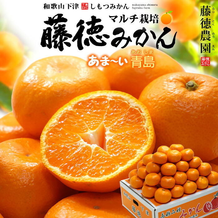 楽天市場】青島みかん マルチ栽培 藤徳みかん S-L (約10kg) 和歌山県