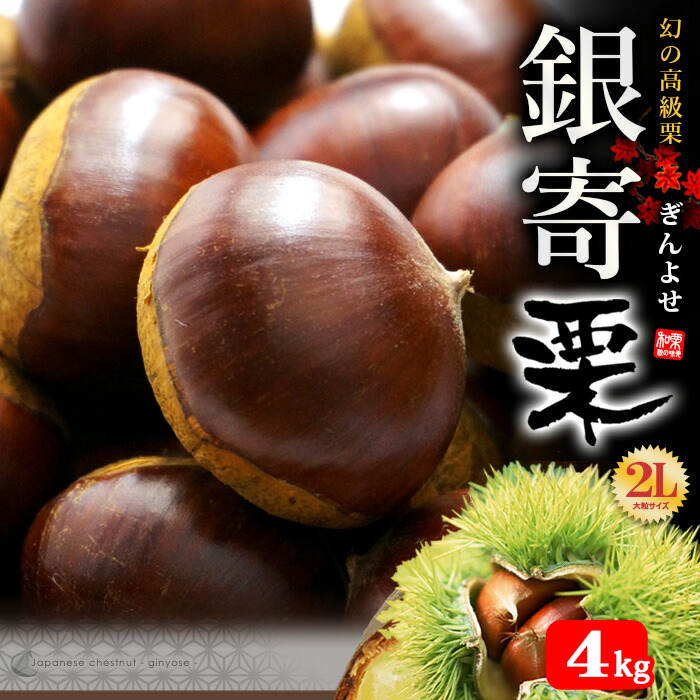銀寄栗　3L 2kg ginyose40_r.jpg