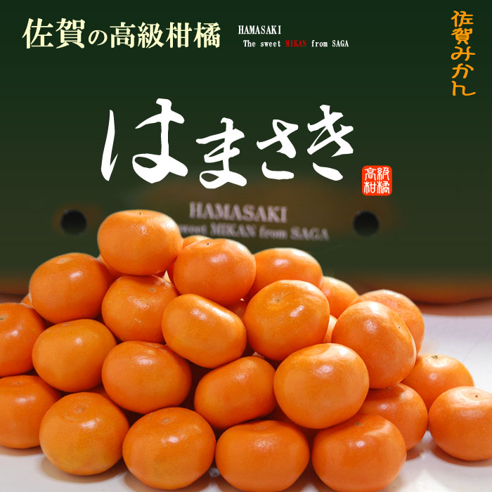 楽天市場 はまさきみかん 小玉 約5kg 佐賀産 みかん はまさき ギフト 麗紅 柑橘 糖度12 5度以上 甘い 高糖度 食品 フルーツ 果物 みかん 送料無料 まいど おおきに屋クラクラ