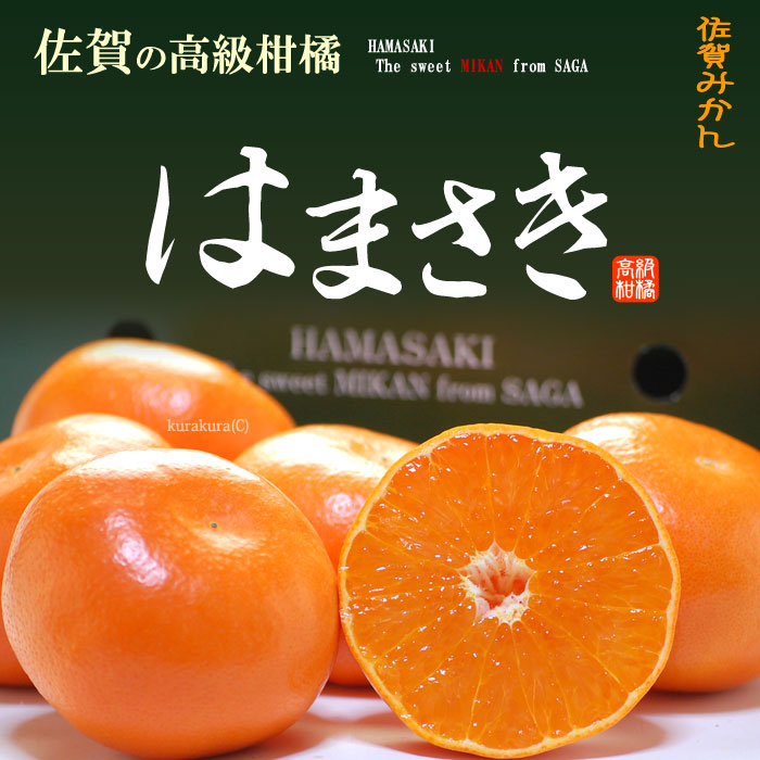 楽天市場 はまさきみかん 約2 5kg 佐賀産 秀品 贈答用 みかん はまさき ギフト 甘い 糖度 高糖度 麗紅 柑橘 食品 フルーツ 果物 みかん 送料無料 まいど おおきに屋クラクラ