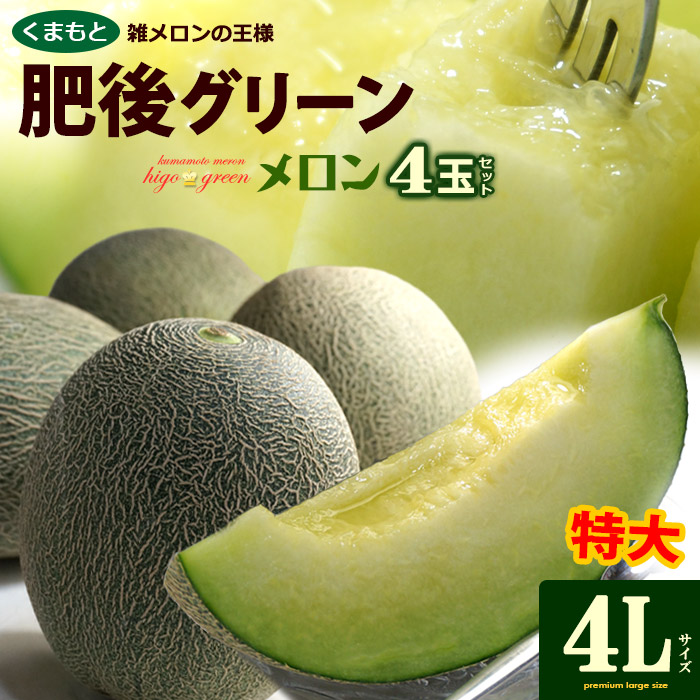 肥後グリーン メロン 4L×4玉 (約8kg) 熊本産 大玉 秀品 青肉 メロン 肥後 グリーン ひごぐりーん めろん melon 雑メロン 父の日 ギフト 贈答 高糖度 甘い 御供え お供え 甘い 人気 男性 女性 喜ばれる 2025 送料無料