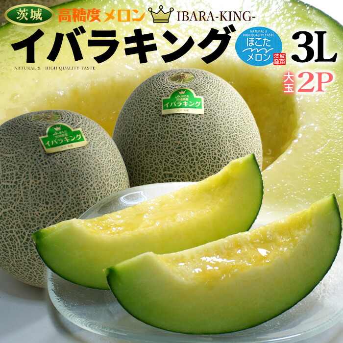 イバラキング 3L×2玉 (約2.5kg) 茨城産 秀品 茨城王 メロン めろん 大玉 ほこた 鉾田 鉾田メロン いばらきんぐ 高糖度 甘い 青肉 メロン 父の日 ギフト 贈答 お中元 御中元 御供え お供え 甘い 人気 男性 女性 喜ばれる 2025 送料無料