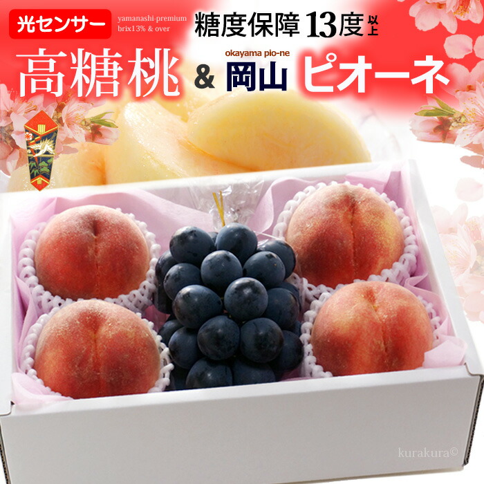 高糖度桃 (山梨産) ピオーネ (岡山産) のセット お中元 御中元 ギフト 夏ギフト 桃 もも 山梨 ぶどう ブドウ 葡萄 ニューピオーネ 詰め合わせ 詰合せ 食品 フルーツ 果物 セット お供え 御供え 甘い 人気 男性 女性 喜ばれる 2025  送料無料