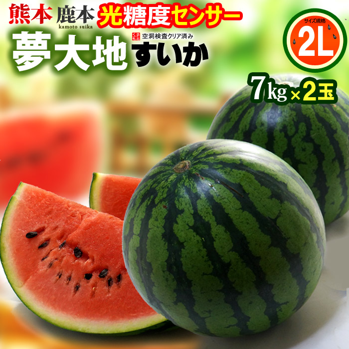 熊本すいか 夢大地 鹿本のスイカ (2L×2玉) 熊本産 秀品 熊本スイカ 贈答 ギフト 熊本 すいか 西瓜 スイカ かもと 糖度11度以上選果 光センサーによる空洞検査済み 食品 フルーツ 果物 スイカ 甘い 人気 男性 女性 喜ばれる 2025 ギフト 贈答 進物 御供え お供え 送料無料