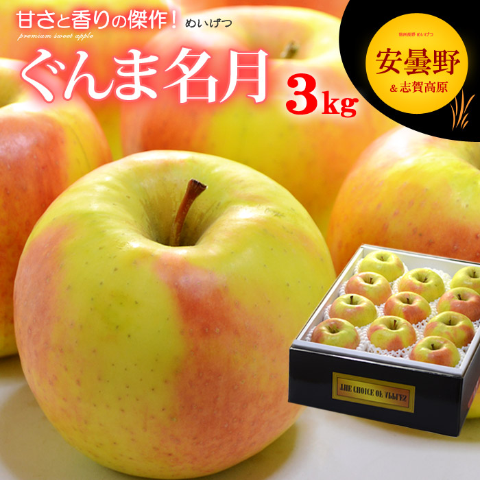 楽天市場】ぐんま名月 りんご (10kg) 長野産 秀品 贈答用 大玉