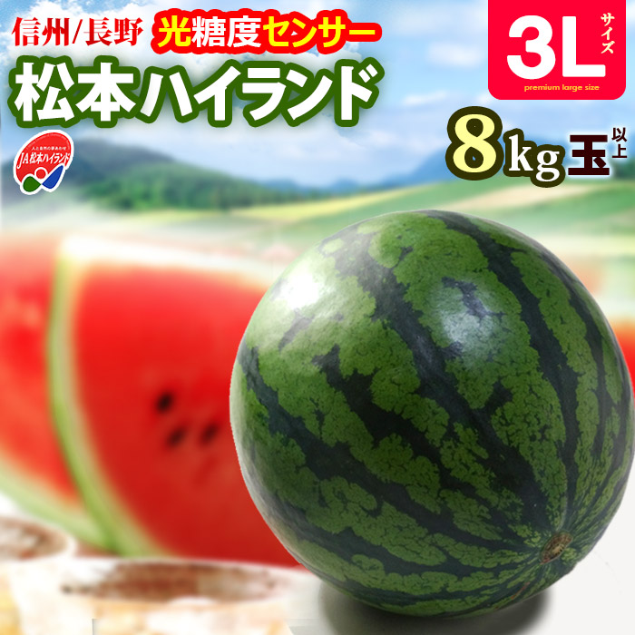 松本ハイランド すいか 秀品 (3L×1玉) 長野産 A品 秀品 8kg以上 光糖度センサー 信州 高原 スイカ すいか 西瓜 まつもと 夏ギフト 食品 フルーツ 果物 スイカ 甘い 人気 男性 女性 喜ばれる 2025 贈答 ギフト 御中元 お中元 お供え 御供え 送料無料