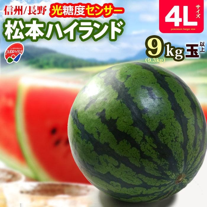 松本ハイランド すいか 秀品 (4L×1玉) 長野産 A品 秀品 9.3kg以上 光糖度センサー 信州 高原 スイカ すいか 西瓜 まつもと 夏ギフト 食品 フルーツ 果物 スイカ 甘い 人気 男性 女性 喜ばれる 2025 贈答 ギフト 御中元 お中元 お供え 御供え 送料無料