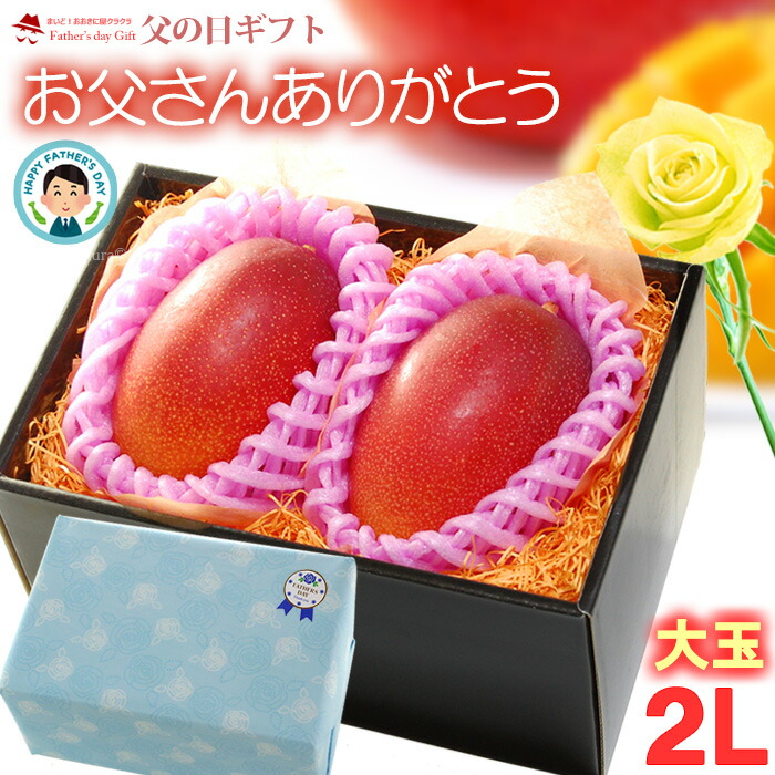 父の日 ギフト 宮崎マンゴー (2L×2玉/約700g) 宮崎産 2025年 赤秀～青秀 父の日ギフト 専用 宮崎 完熟マンゴー 国産マンゴー アップルマンゴー アーウィン種 mango まんごー ギフト 贈答 国産 完熟 マンゴー 高糖度 甘い 食品 フルーツ 果物 マンゴー ラッピング 送料無料