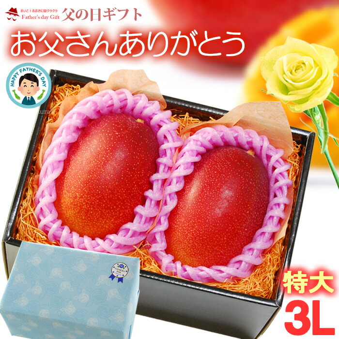 父の日 ギフト 宮崎マンゴー (3L×2玉/約900g以上) 宮崎産 赤秀～青秀 2025年 父の日ギフト 専用 宮崎 完熟マンゴー 国産マンゴー アップルマンゴー アーウィン mango まんごー ギフト 贈答 国産 完熟 マンゴー 高糖度 甘い 食品 フルーツ 果物 マンゴー ラッピング 送料無料