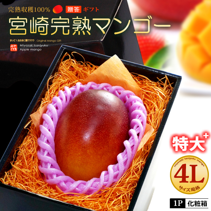 楽天市場】宮崎マンゴー (3L/約450g) 宮崎産 秀品 宮崎完熟