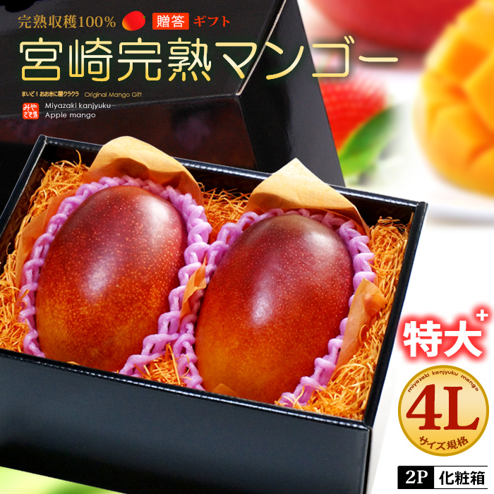 【楽天市場】宮崎マンゴー (L×2玉/約600g) 宮崎産 秀品 宮崎