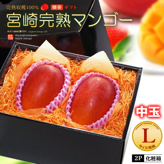 楽天市場】遅れてごめんね！ 母の日 ギフト 宮崎マンゴー (2L×1
