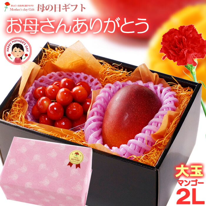 母の日 ギフト 宮崎マンゴー (2L×1玉/約350g以上) と 山形さくらんぼ 佐藤錦 (M玉×約100g) セット 秀品 サクランボ マンゴー 2026 母の日ギフト 宮崎 完熟マンゴー ギフト 贈答 国産 完熟 マンゴー 高糖度 フルーツ 果物 マンゴー ラッピング 送料無料