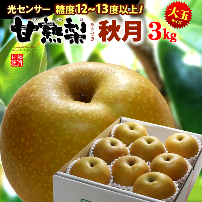 ★パキラ★　秋の味覚、果物、リスさん ☆パキラ様専用☆ 秋の味覚、果物、リスさん - メルカリ