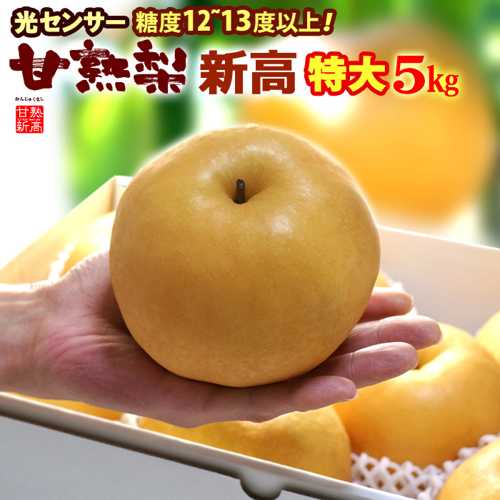 梨　新高梨　40玉　　03 imgrc0083171364.jpg