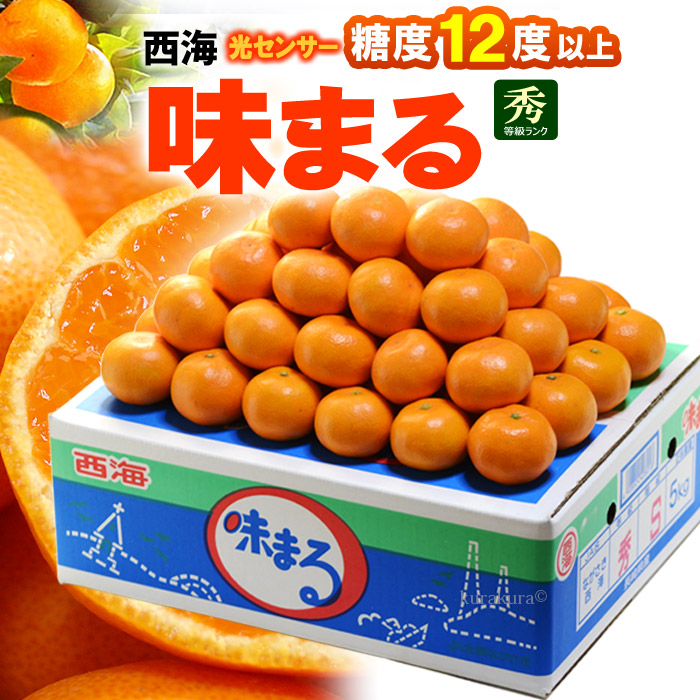 楽天市場 西海みかん 味まるみかん 5kg 長崎産 赤秀 贈答用 糖度12度以上 ミカン 蜜柑 食品 フルーツ 果物 みかん 送料無料 まいど おおきに屋クラクラ