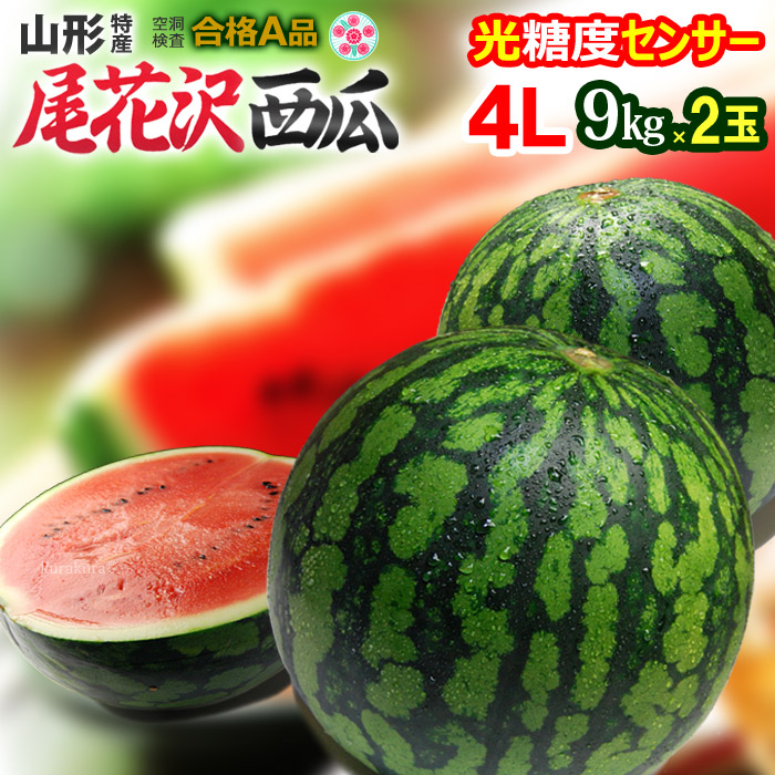 スイカ 楽天市場】尾花沢すいか A品 (5L×1玉) 山形産 秀品 10kg以上