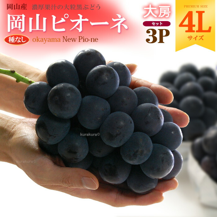 楽天市場】岡山ピオーネ 4L×2房 (約1.2kg) 岡山産 秀品 ぴおーね