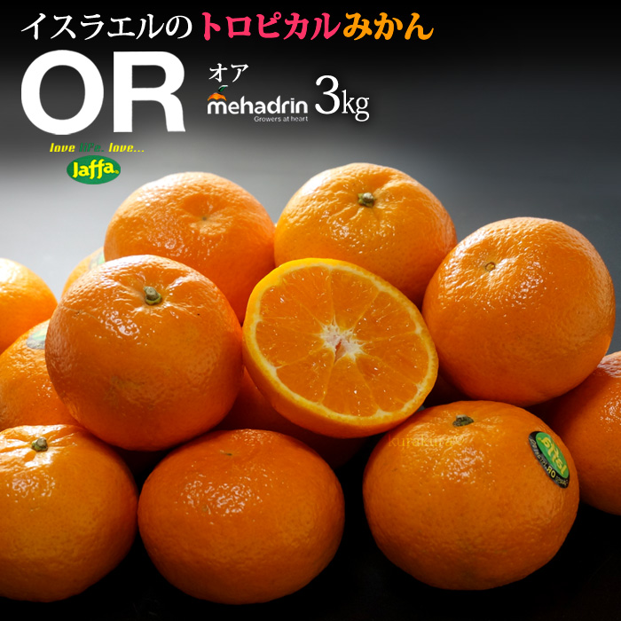楽天市場 オアオレンジ 約3kg イスラエル産 Orマンダリン オア オレンジ 高糖度 甘い 食品 フルーツ 果物 みかん オレンジ 高糖度 送料無料 まいど おおきに屋クラクラ