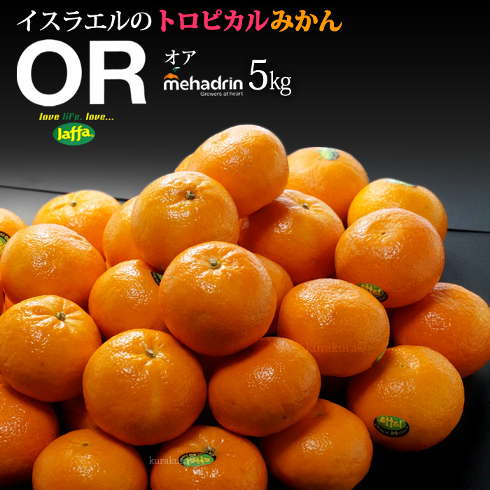 楽天市場 オアオレンジ 約5kg イスラエル産 Orマンダリン オア オレンジ 高糖度 甘い 食品 フルーツ 果物 みかん オレンジ 高糖度 送料無料 まいど おおきに屋クラクラ
